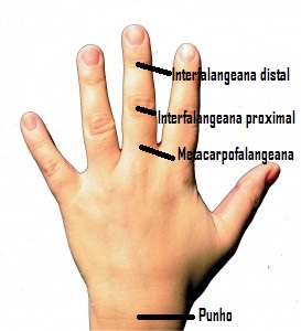 articulações das mãos