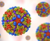 Chikungunya e dor 