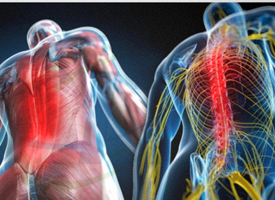 fibromialgia ou espondiloatrite
