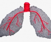 Fibrose pulmonar doença reumática 