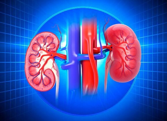 Reumatismo doença renal crônica 